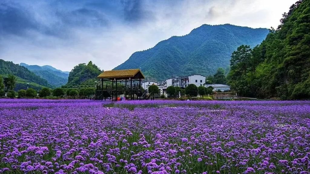 廈門(mén)婚禮場(chǎng)地布置_廈門(mén)場(chǎng)地婚禮布置多少錢(qián)_廈門(mén)婚慶布置