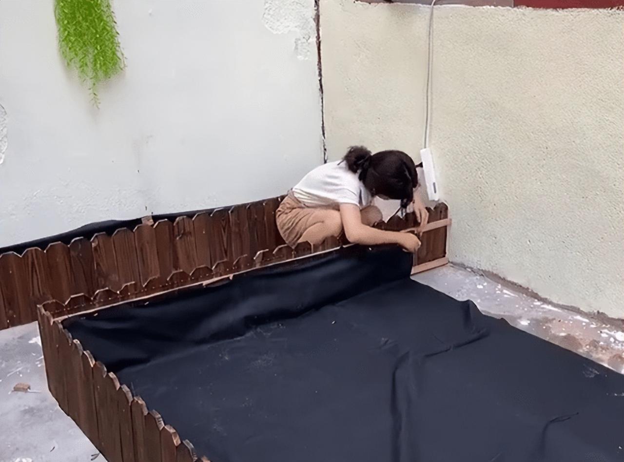 廈門(mén)裝修院子效果圖_廈門(mén)裝修院子價(jià)格多少_廈門(mén)院子裝修