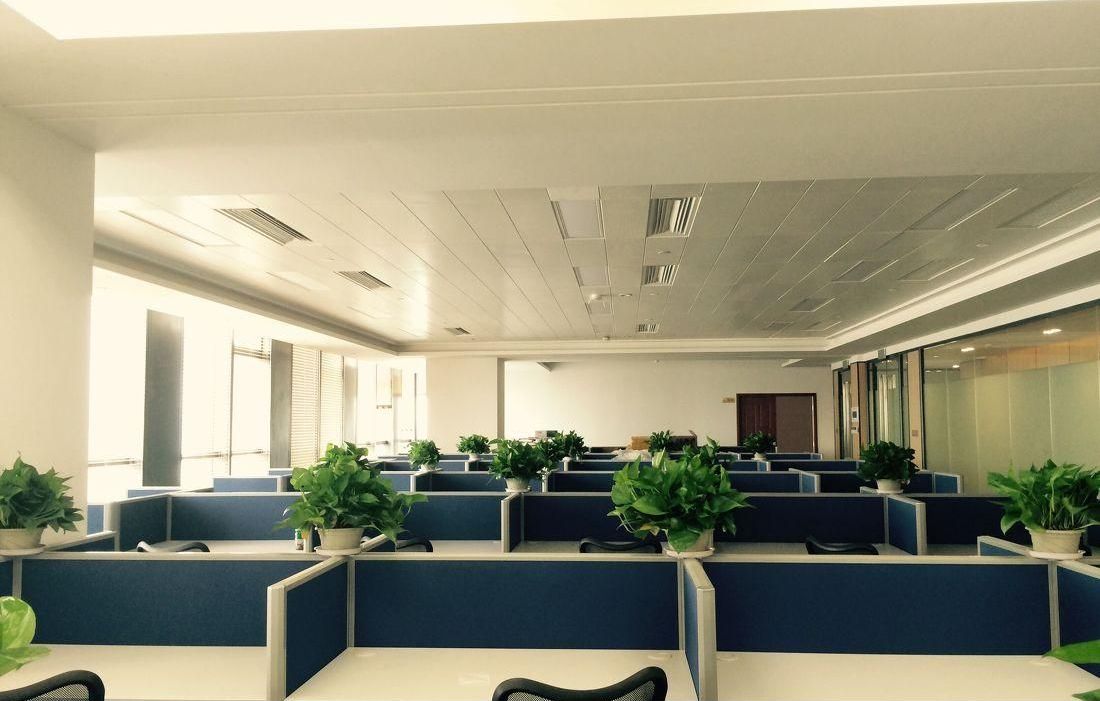 廈門裝修設計公司排名_廈門裝修設計公司排名_廈門網(wǎng)絡優(yōu)化公司排名