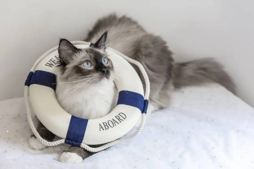 廈門(mén)家裝展會(huì)_廈門(mén)家裝建材展覽會(huì)_展會(huì)廈門(mén)家裝圖片