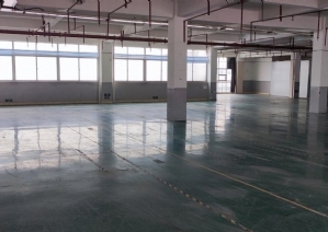 廈門(mén)廠(chǎng)房裝修施工隊(duì)_廈門(mén)廠(chǎng)房裝修_廠(chǎng)房廈門(mén)裝修多少錢(qián)