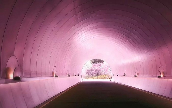 廈門(mén)過(guò)生日的觀(guān)景餐廳_廈門(mén)生日?qǐng)鼍安贾胈廈門(mén)布置生日?qǐng)鼍暗牡胤?/></p>
<p style=