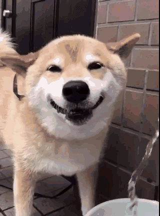 廈門復(fù)式樓裝修_廈門裝修樓復(fù)式樓價(jià)格_廈門復(fù)式房