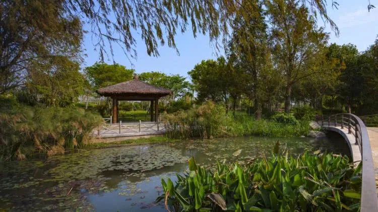 廈門(mén)周末裝修時(shí)間國(guó)家規(guī)定_廈門(mén)周末裝修_廈門(mén)周末裝修投訴電話