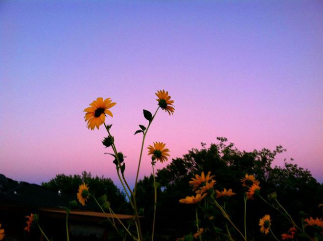 廈門(mén)裝修裝潢_廈門(mén)福建裝修公司排名_福建廈門(mén) 裝修