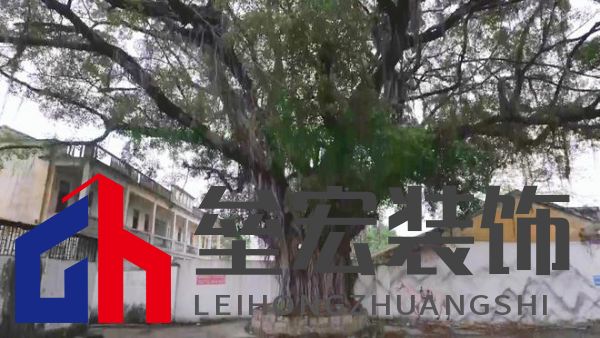 期頤華僑反哺故鄉(xiāng)桑梓情深，“夢(mèng)改”助力潮州大吳村再綻魅力