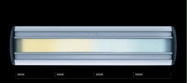 Waldmann:不忘初心的工業(yè)燈Taneo